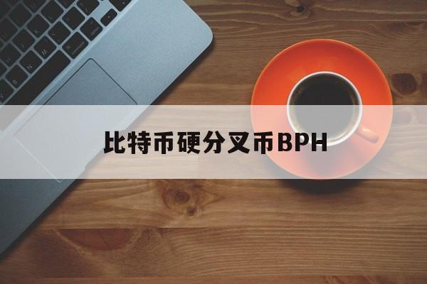 比特币硬分叉币BPH(比特币专业术语中的硬分叉)